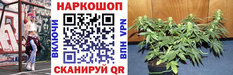 Купить закладку Завитинск АМФ ГАШИШ ГЕРОИН КОКАИН МАРИХУАНА