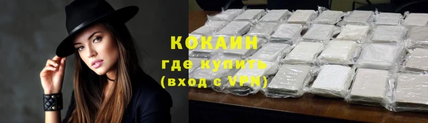 винт Майский